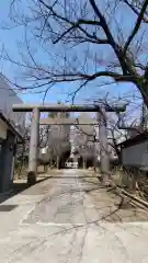 亀戸 香取神社の鳥居