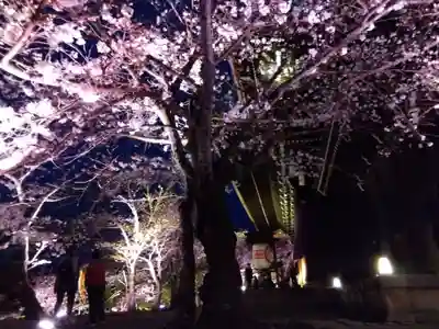 知恩院(京都府)