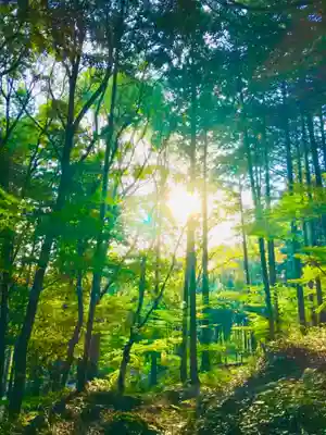 六所皇大神宮霊跡の自然