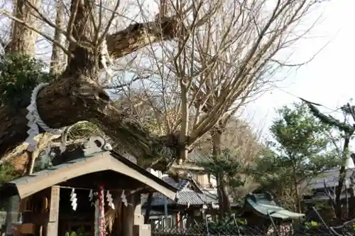 海南神社(神奈川県)