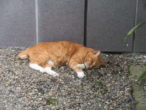 法雲寺(東京都)