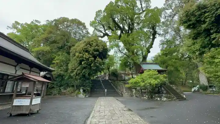 鹿児島神宮(鹿児島県)
