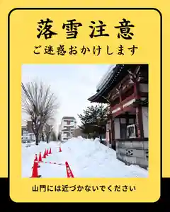 眞久寺の自然(2026年02月23日(月) 21時14分40秒投稿)