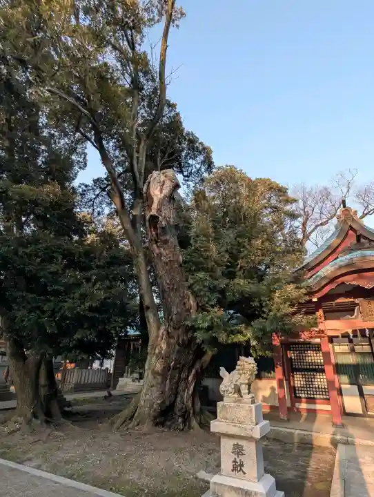 角鹿神社の{uncategorized: "未分類", other: "その他", undefined: "問題あり", building: "その他建物", grave: "お墓", sacred_gate: "鳥居", guardian: "狛犬", statue: "像", buddha: "仏像", history: "歴史", nature: "自然", garden: "庭園", animal: "動物", pagoda: "塔", temizu: "手水舎", mountain_gate: "山門・神門", sanctuary: "本殿・本堂", subordinate: "末社・摂社", art: "芸術", scenery: "景色", jizo: "地蔵", ema: "絵馬", goshuin: "御朱印", omikuji: "おみくじ", items: "授与品その他", amulet: "お守り", goshuincho: "御朱印帳", eats: "食事", festival: "お祭り", votive_dance: "神楽", shichigosan: "七五三参", wedding: "結婚式", experience: "体験その他", initially: "初詣", around: "周辺", anti_infection: "感染症対策"}