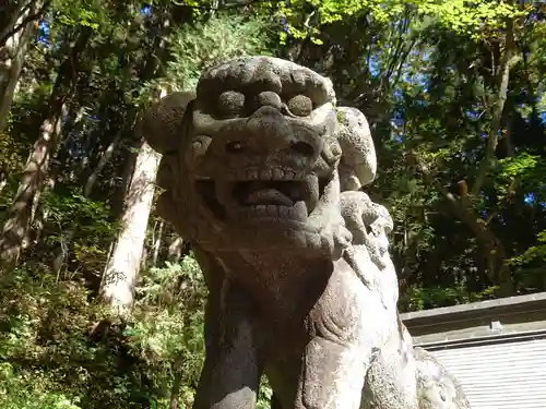 戸隠神社宝光社の狛犬