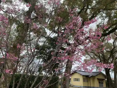 美奈宜神社(福岡県)