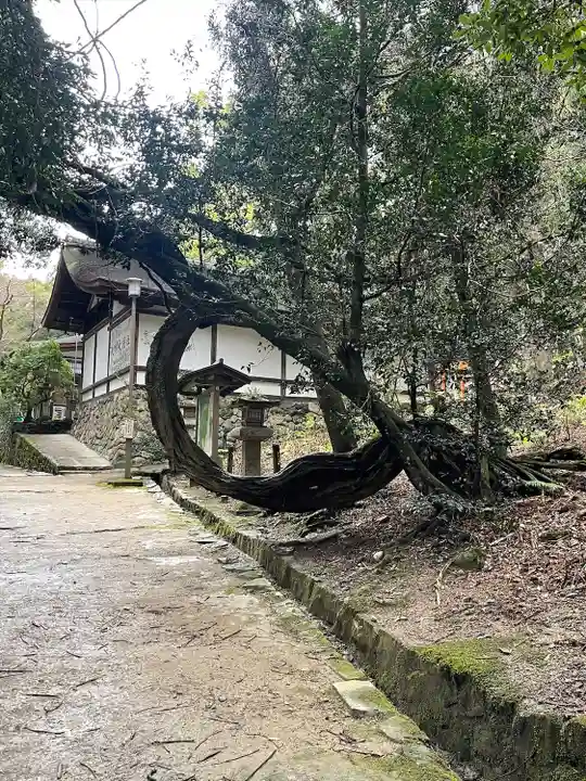 春日大社(奈良県)