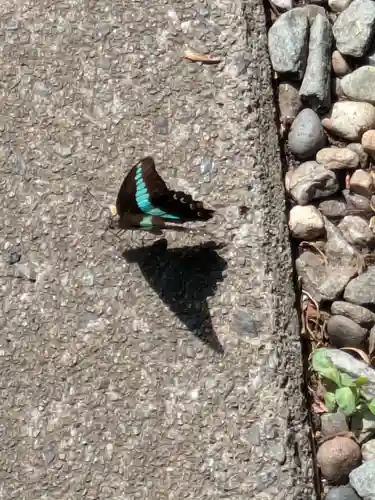 ときわ台天祖神社(東京都)