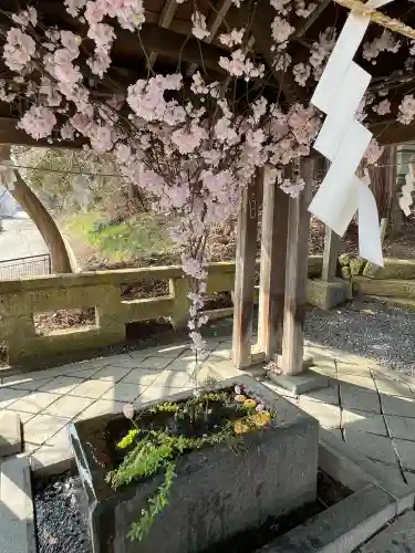 熊野大社の{uncategorized: "未分類", other: "その他", undefined: "問題あり", building: "その他建物", grave: "お墓", sacred_gate: "鳥居", guardian: "狛犬", statue: "像", buddha: "仏像", history: "歴史", nature: "自然", garden: "庭園", animal: "動物", pagoda: "塔", temizu: "手水舎", mountain_gate: "山門・神門", sanctuary: "本殿・本堂", subordinate: "末社・摂社", art: "芸術", scenery: "景色", jizo: "地蔵", ema: "絵馬", goshuin: "御朱印", omikuji: "おみくじ", items: "授与品その他", amulet: "お守り", goshuincho: "御朱印帳", eats: "食事", festival: "お祭り", votive_dance: "神楽", shichigosan: "七五三参", wedding: "結婚式", experience: "体験その他", initially: "初詣", around: "周辺", anti_infection: "感染症対策"}