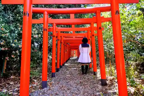 満福寺（三好稲荷閣）の{uncategorized: "未分類", other: "その他", undefined: "問題あり", building: "その他建物", grave: "お墓", sacred_gate: "鳥居", guardian: "狛犬", statue: "像", buddha: "仏像", history: "歴史", nature: "自然", garden: "庭園", animal: "動物", pagoda: "塔", temizu: "手水舎", mountain_gate: "山門・神門", sanctuary: "本殿・本堂", subordinate: "末社・摂社", art: "芸術", scenery: "景色", jizo: "地蔵", ema: "絵馬", goshuin: "御朱印", omikuji: "おみくじ", items: "授与品その他", amulet: "お守り", goshuincho: "御朱印帳", eats: "食事", festival: "お祭り", votive_dance: "神楽", shichigosan: "七五三参", wedding: "結婚式", experience: "体験その他", initially: "初詣", around: "周辺", anti_infection: "感染症対策"}