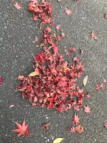 遠州信貴山別院（毘沙門堂）の自然