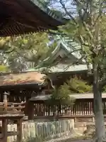 篠山神社の本殿・本堂