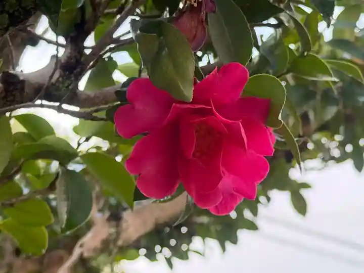 西方山極楽寺(岐阜県)