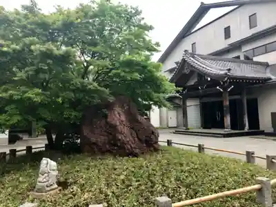 祐天寺のその他建物