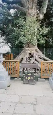 和泉國一之宮　大鳥大社(大阪府)