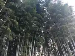 不知森神社の自然