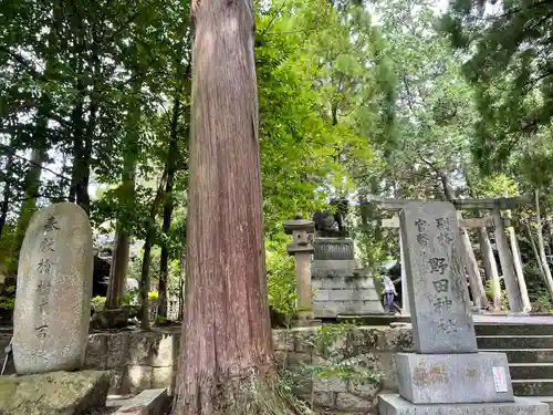 野田神社(山口県)