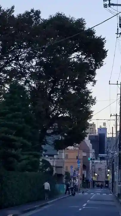 上小岩天祖神社の周辺