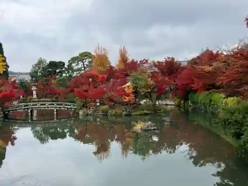 禅林寺（永観堂）(京都府)