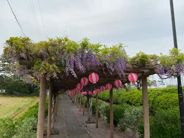 城ヶ入観音(愛知県)