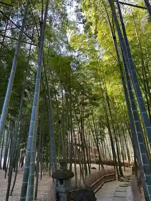 報国寺(神奈川県)