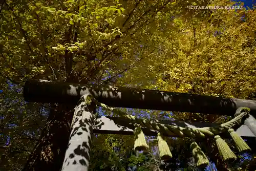 葛原岡神社の鳥居