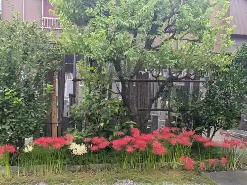 本光寺(東京都)