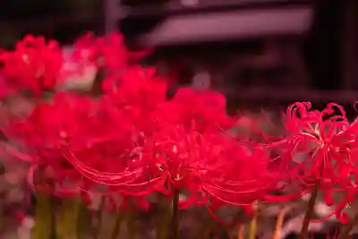 狭野神社(宮崎県)