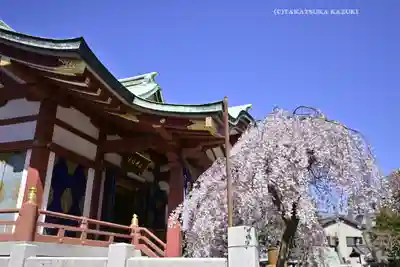 千住神社(東京都)