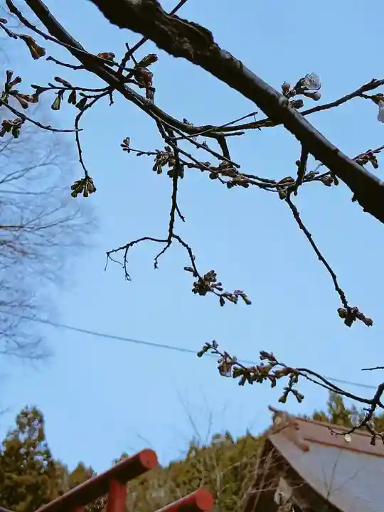 白狐山光星寺(山形県)