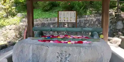 岡寺（龍蓋寺）(奈良県)