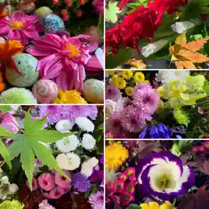 滑川神社 - 仕事と子どもの守り神の手水舎(2020年10月29日(木) 20時54分00秒投稿)