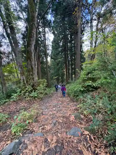 戸隠神社九頭龍社(長野県)