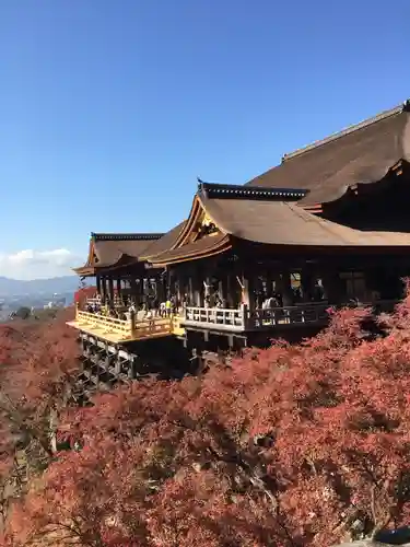 清水寺の本殿・本堂