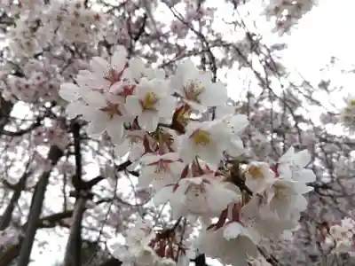 城福寺(福井県)