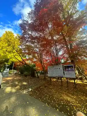 陸奥総社宮(宮城県)