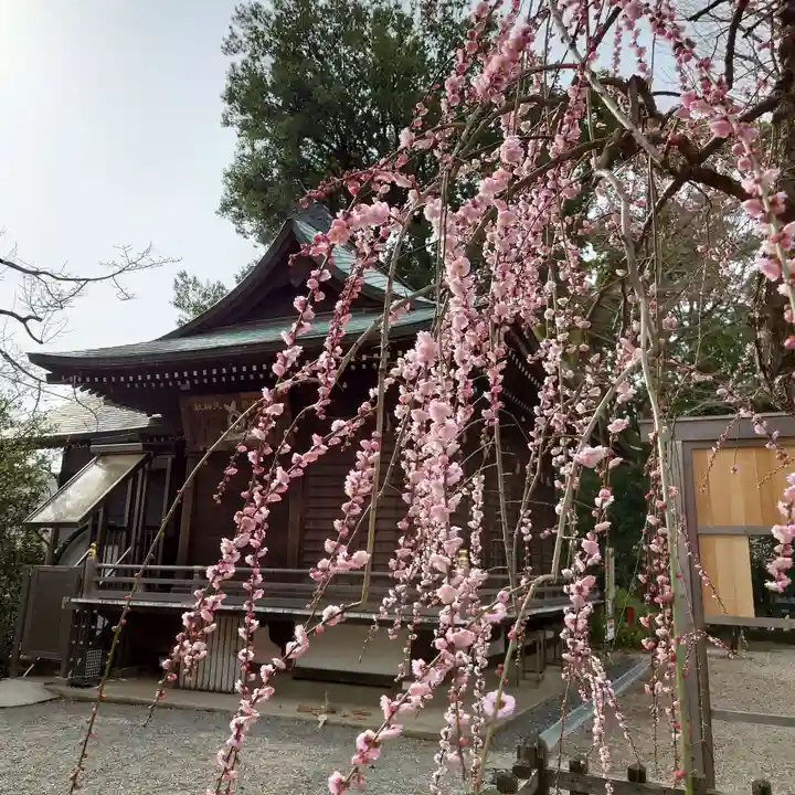布多天神社の自然