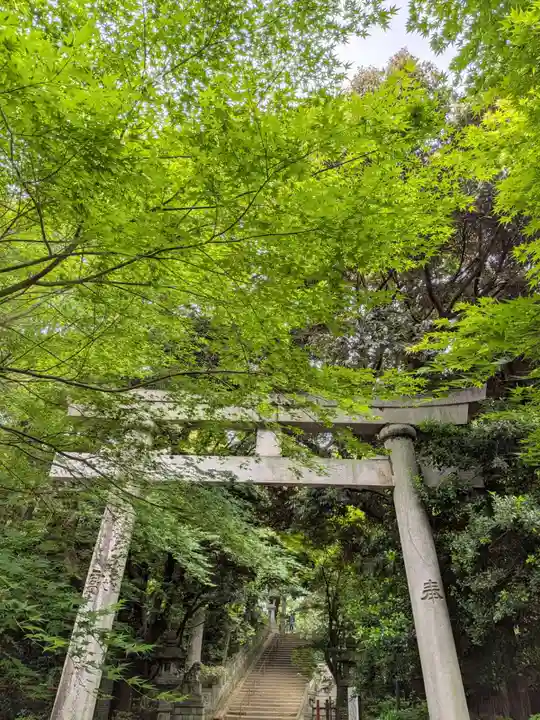 赤坂氷川神社(東京都)