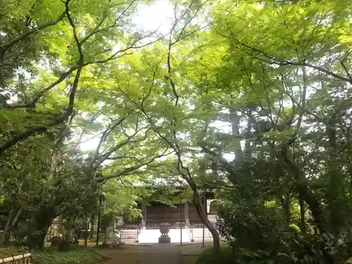 大正寺の本殿・本堂