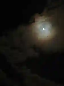 西方山極楽寺(岐阜県)(2026年01月03日(土) 23時11分32秒投稿)