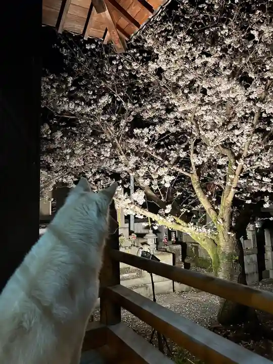 常清寺(熊本県)