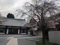 観音寺(東京都)
