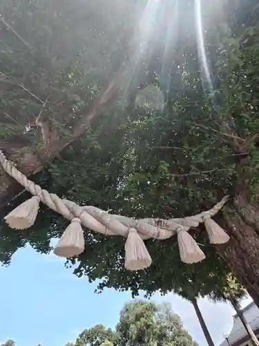 亀ケ池八幡宮(神奈川県)