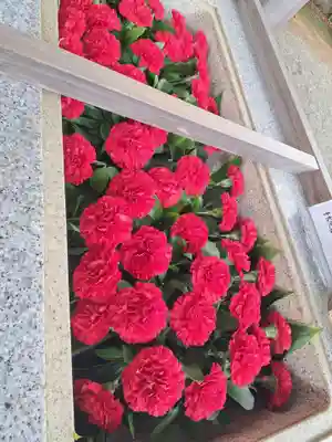 比々多神社(神奈川県)