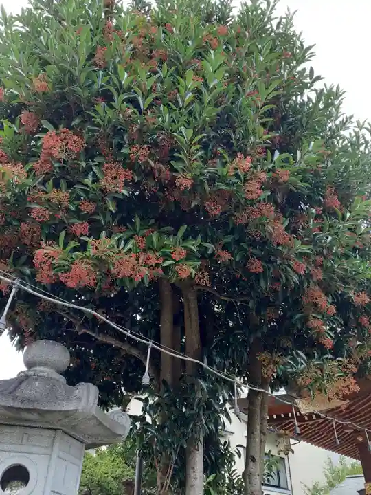 歌懸稲荷神社(山形県)