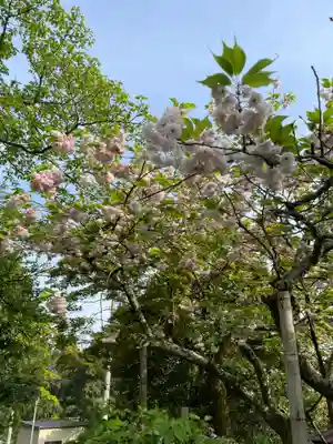 松尾寺(京都府)