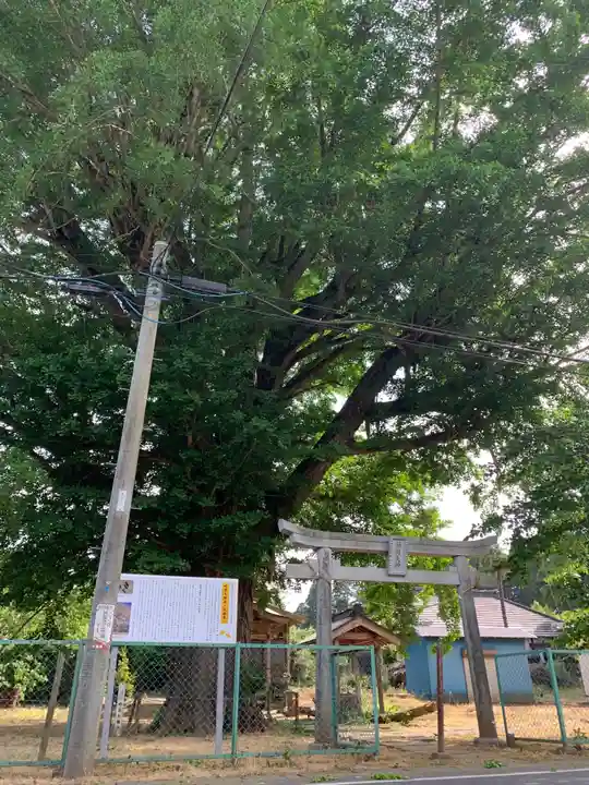 稲荷神社(千葉県)