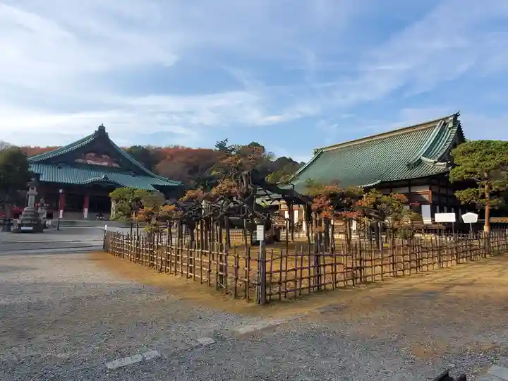 大光院 新田寺のその他建物