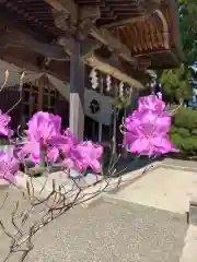 豊景神社の自然