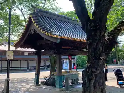 妙法寺の手水舎